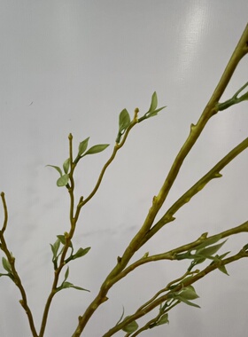 仿真花嫩芽枝假柳枝条装饰花艺术插花造景挑高配材家居绿色经典