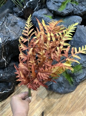 渐变色手感软胶蕨草铁线蕨排草植物墙配材插花装饰山草仿真波斯草