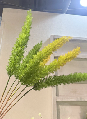 仿真狐尾天门冬 单支渐变色花艺造景花材松草高大线性花艺素材