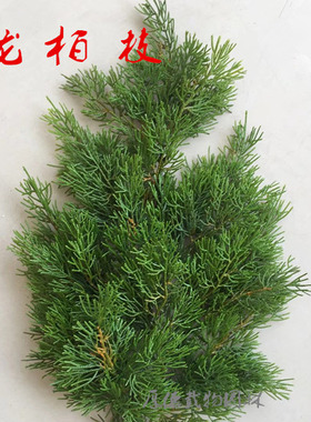 柏树盆栽清明节祭祀扫墓扇面假花