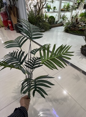 仿真凤尾竹叶蕨草蕨树绿植陈列橱窗家居摆放热带植物把束散尾葵