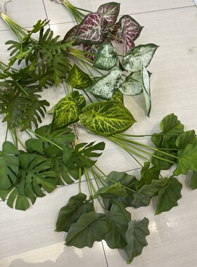 7叶带根手感软胶龟背春芋竹芋