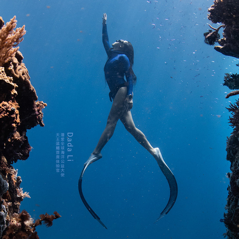 天王男士蓝鳍系列百米防水机械表 天王半小时国产腕表