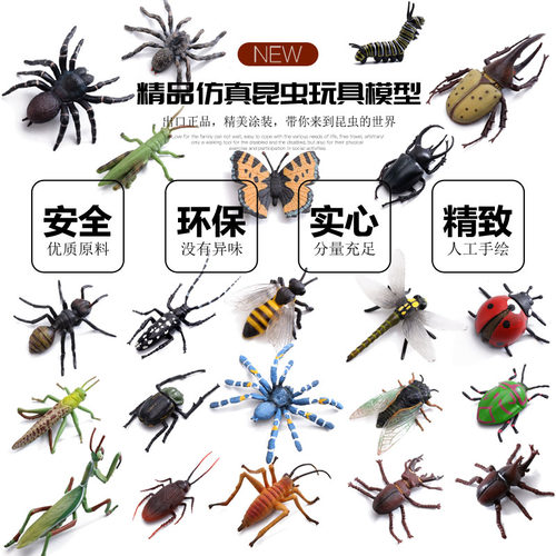 儿童仿真昆虫动物模型蜜蜂蝴蝶蚂蚱蚂蚁螳螂七星瓢虫蜘蛛认知玩具 - 图0