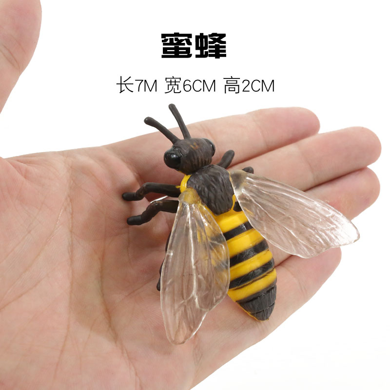 儿童仿真塑料昆虫玩具动物模型蜜蜂大黄蜂宝宝认知科学早教礼物 - 图1