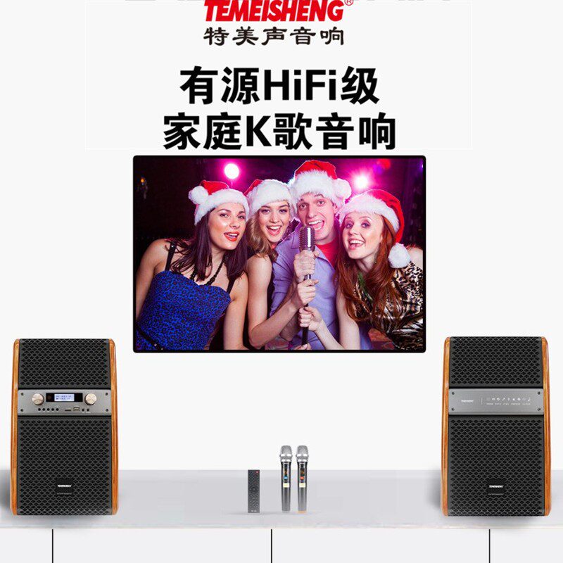 特美声(temeisheng)有源hifi家庭k歌音响套装家庭影院ktv t270
