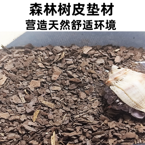 寄居蟹专用沙垫材白沙珊瑚沙菲律宾沙贝壳沙免洗砂寄居蟹专用椰土 - 图1