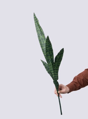 5叶虎皮兰仿真花婚庆装饰
