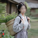 Ancient costume of tea-picking girl among ancient medical girls