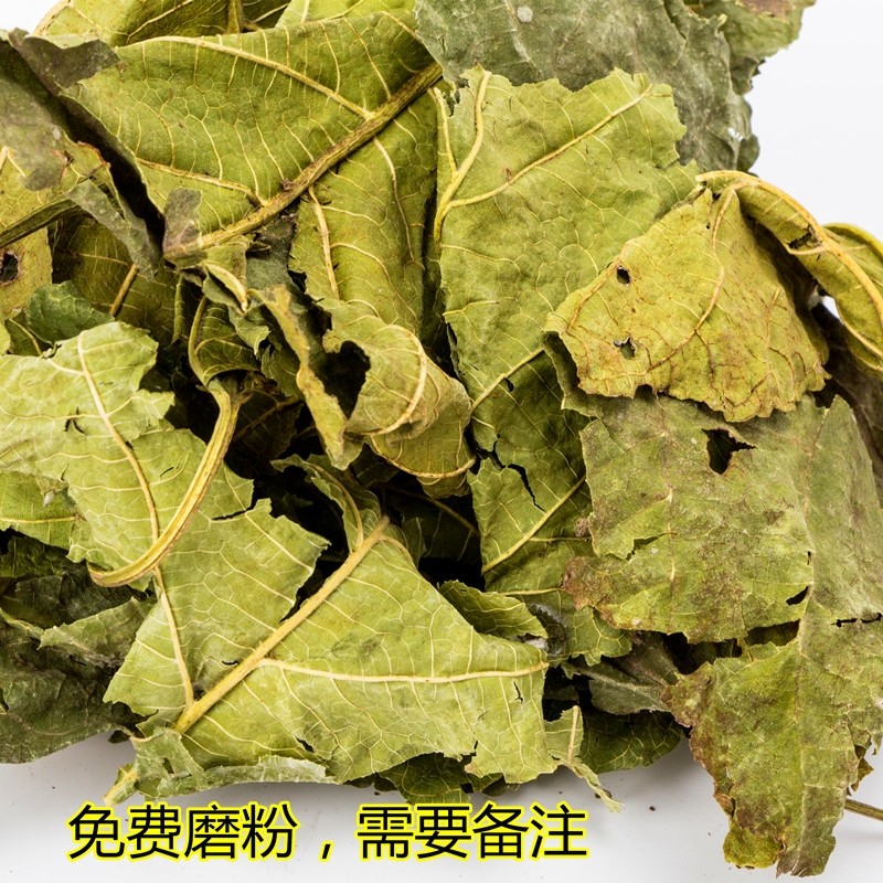 桑叶中药材新货干桑叶500克包邮同仁堂新鲜晒干桑树叶泡水桑叶茶_虎窝淘