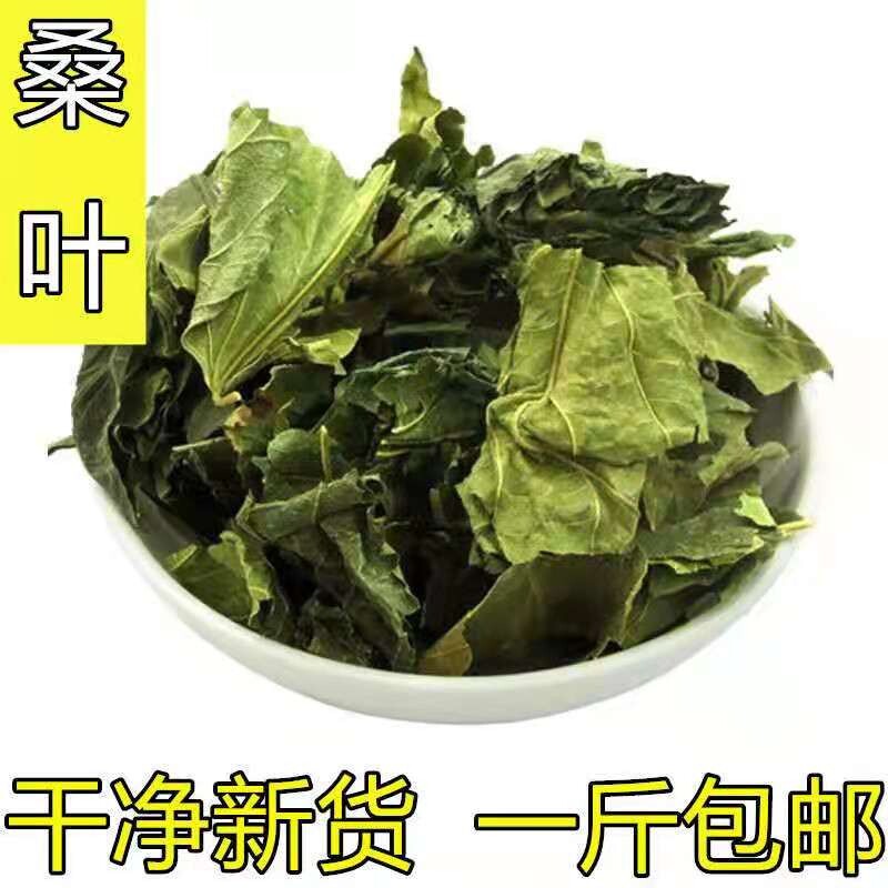 桑叶中药材新货干桑叶500克包邮同仁堂新鲜晒干桑树叶泡水桑叶茶_虎窝淘