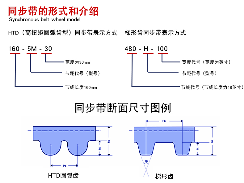 同步带T5 T10 T20 AT10橡胶钢丝工业梯形齿形电机聚氨酯传动皮带