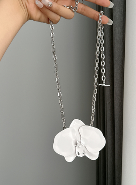 新中式zr白玉兰花朵耳环女2024新款欧美夸张金属暗夜兰花耳坠项链