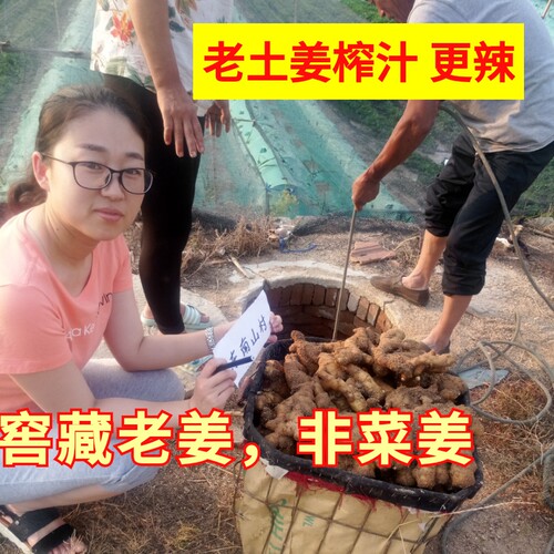 姜汁原汁食用新鲜老姜汁生姜汁500毫升原汁生姜水 - 图0