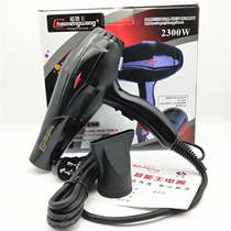 Negative Ion Super Energy King 8890 Hair Gallery Home Hair Dryer With Blue Light Aroma High Power 2300W Electric Blow