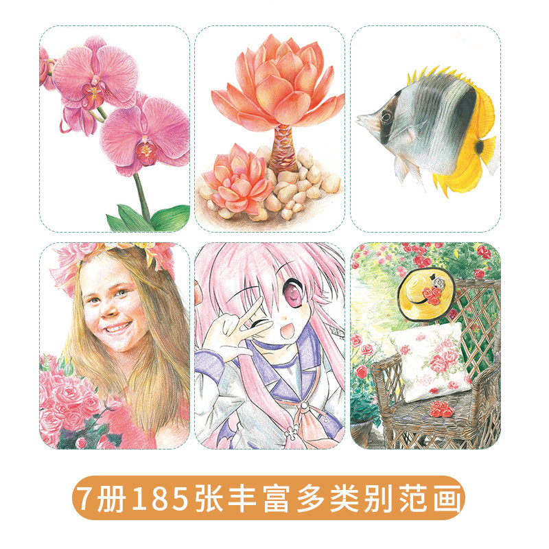 彩铅画合集7册装 彩色铅笔风景花卉漫画人物动物花鸟多肉儿童手绘涂色教程书基础入门美术绘画超写实自学教材动漫卡通技法临摹书籍