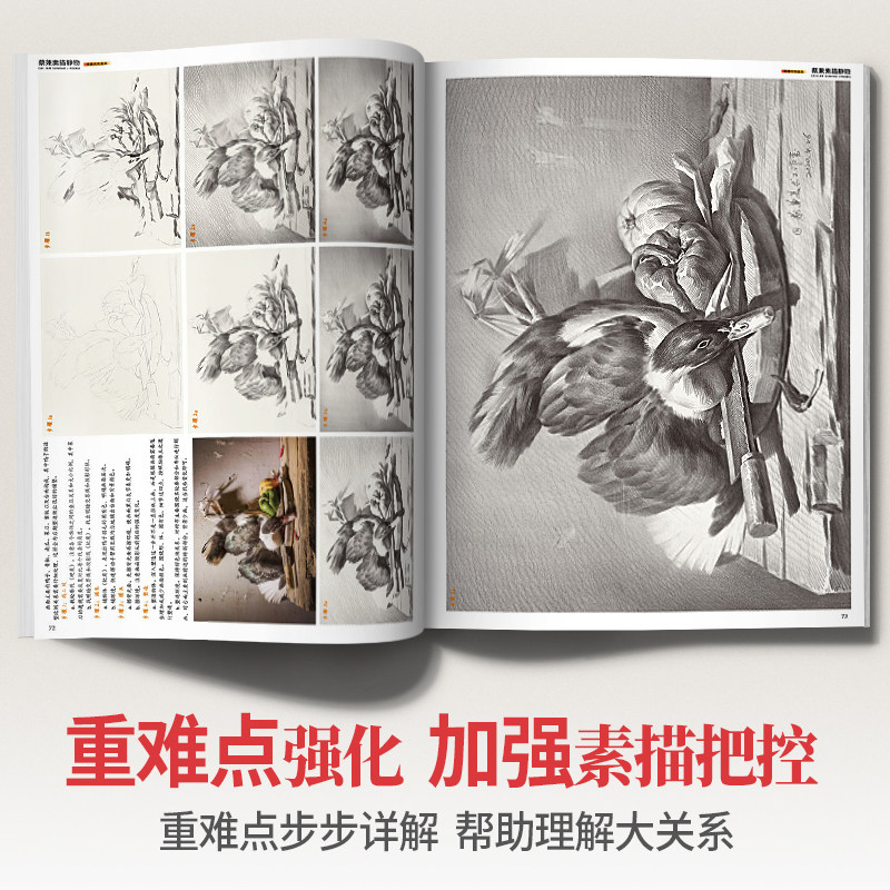 蔡兼素描静物 石膏几何体绘画石膏像单体组合结构照片临摹范本水果基础入门学画册本教程经典画高考联考一本通美术书籍教学教材书