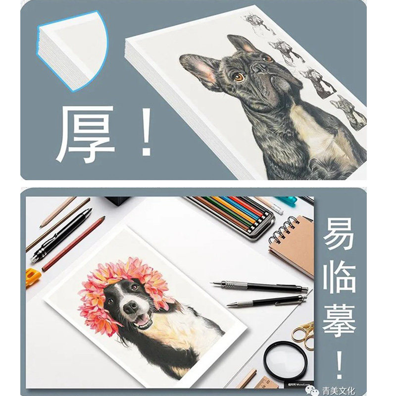 精微素描高清临摹卡套装 2022我有我一套人物动物照片图片基础入门卡片书籍线描画画书画册写生绘画艺术高考联考美术教材教程教学