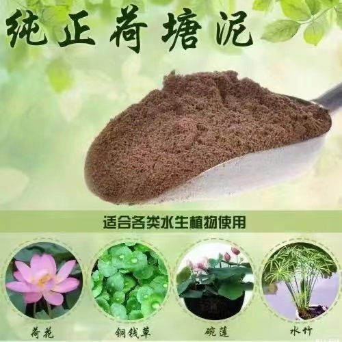 泥土荷花纯正天然荷塘泥碗莲泥土铜钱草专用水生植物河淤泥营养土-图0