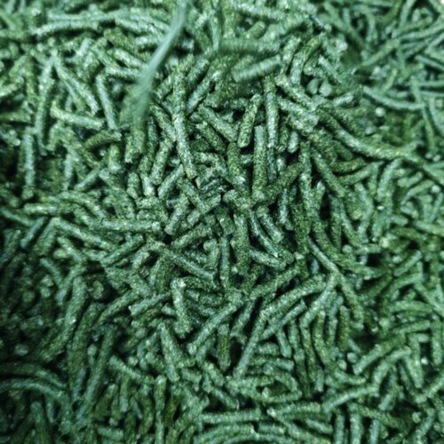【两斤装】提摩西草颗粒兔粮兔子荷兰猪饲料干草料包邮 - 图2