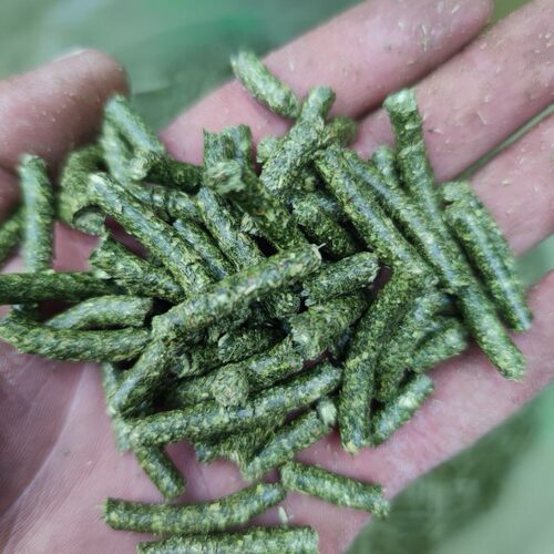 【两斤装】提摩西草颗粒兔粮兔子荷兰猪饲料干草料包邮 - 图1