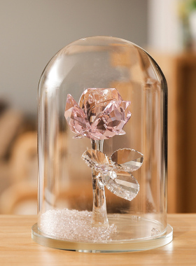 永生花玻璃罩桌面装饰圣诞节礼物