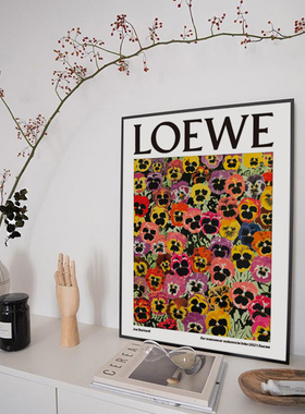loewe复刻斗柜ins风花卉装饰画