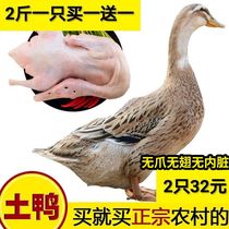 (Shunfeng) 2 1 catty of a farmyard Scattered Earth Duck Old Duck Juck Duck Fresh Duck Raw Duck Meat Duck Fresh