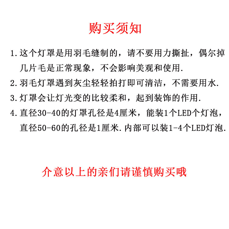 羽毛灯罩外壳卧室吊灯温馨浪漫北欧创意ins网红少女主卧台灯灯罩