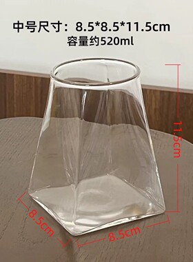 微景观透明玻璃斜方山脉苔藓瓶迷你植物生态造景瓶桌面鱼缸小摆件