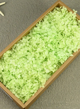 彩色永生花AB级安娜绣球100克装饰摆件手工DIY多色可选家居装饰品