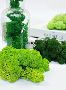 多色永生苔藓500克盒装DIY手工花盒相框苔藓墙微景观造景清新装饰