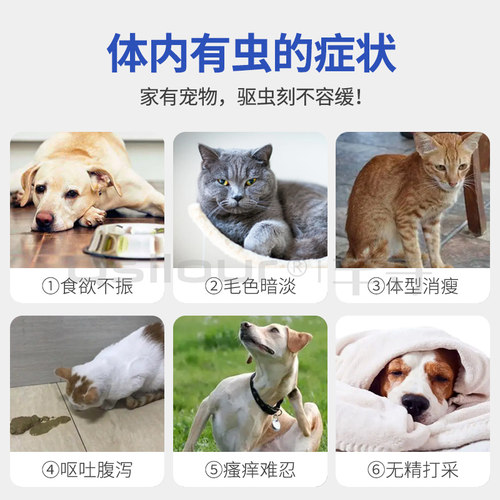 吡喹酮片宠物猫狗犬猫咪体内驱血吸虫绦虫囊尾蚴病泰迪驱虫药柯基 - 图3