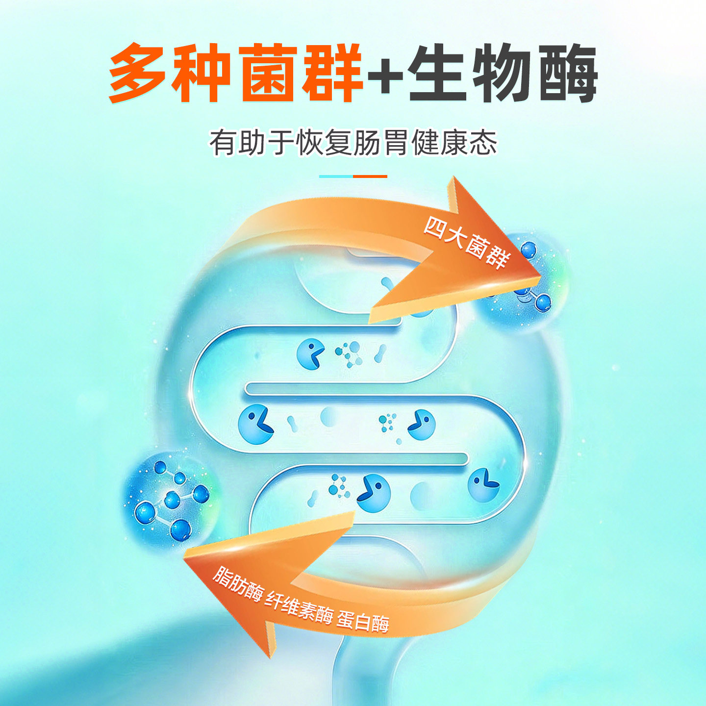 芊守益生菌狗狗猫咪专用调理肠胃宠物小幼猫犬肠胃宝粉营养保健品,淘宝优惠券,粉丝福利购,淘宝优惠卷