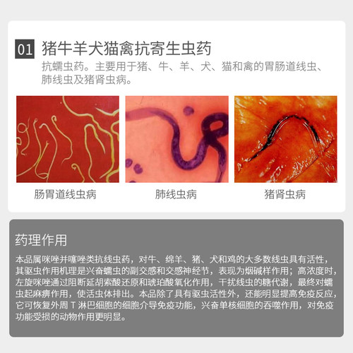 兽用盐酸左旋咪唑片宠物猫狗猪牛羊鸡鸭鹅鸽子驱虫打虫线虫药兽药 - 图1