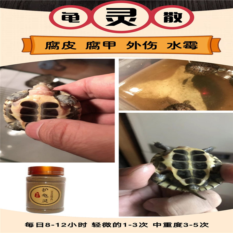 龟友常备乌龟腐皮腐甲白眼病外伤白斑点排便差肠炎草龟巴西龟专用-图2