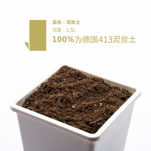 同根生 多肉植物颗粒土 赤玉土 铺面 铺底 混土种植麦饭石 - 图1