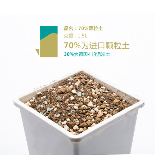 同根生 多肉植物颗粒土 赤玉土 铺面 铺底 混土种植麦饭石 - 图2