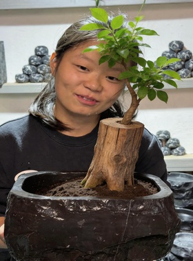 鑫石韵石头马槽盆小石槽原石水槽茶室养鱼盆水培土培小鸟洗澡盆