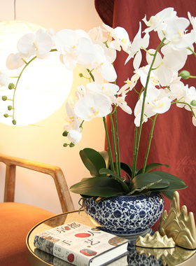 玄关仿真花iflowercasa蝴蝶兰
