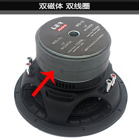 double voice coil