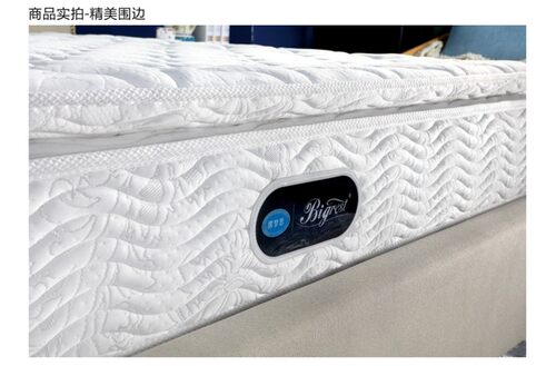 美国席梦思床垫 甜梦天娜特级款 独立袋装弹簧乳胶床垫 大品牌 - 图0