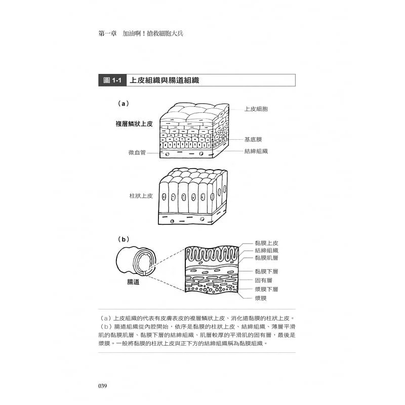 预售 有趣到让你不想睡的病理学通识：大阪大学热门病理学讲义，秒懂「病」是如何发生的 大是文化 原版进口书 医疗保健