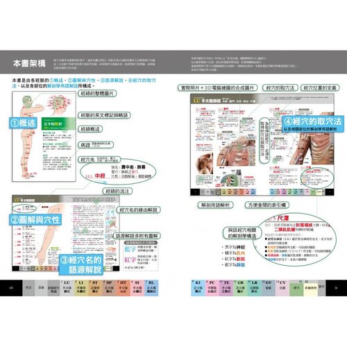现货 台版 经穴大全 坂元大海 原岛广至 全彩印刷 图解全面 实际照片 3D电脑绘图 中医疗法 推拿 按摩 医疗保健类书籍 枫书坊 - 图1