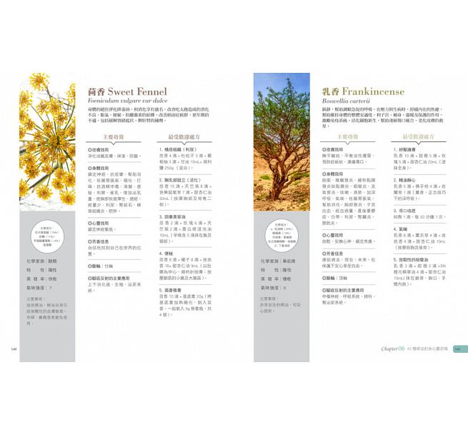 预售 精油疗愈全书20年临床芳香治疗处方 搭配足反射区诊断 快速消除病机和病症！ 原版进口书 生活风格 ndd
