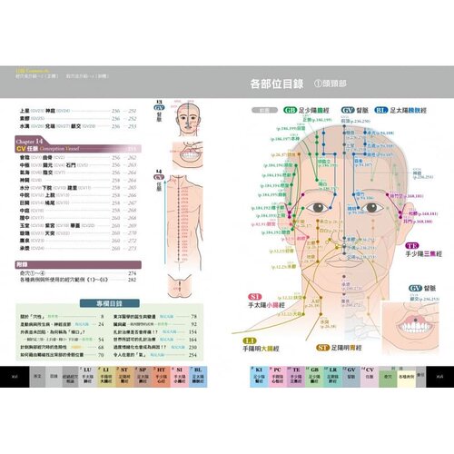 现货 台版 经穴大全 坂元大海 原岛广至 全彩印刷 图解全面 实际照片 3D电脑绘图 中医疗法 推拿 按摩 医疗保健类书籍 枫书坊 - 图2
