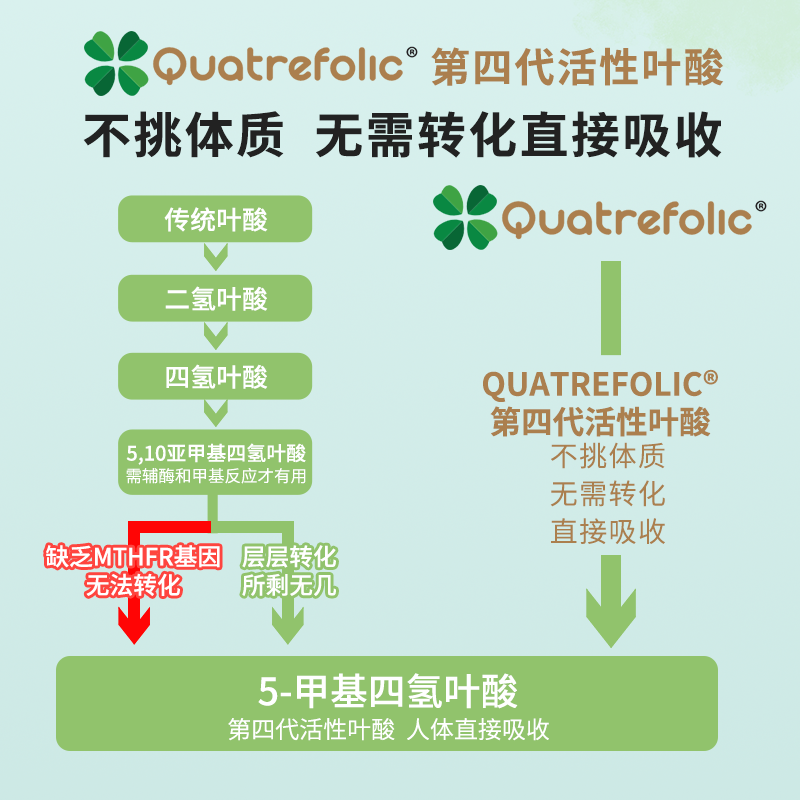 2瓶 Swanson斯旺森活性叶酸400mcg 孕妇孕前孕期孕中期五甲基四氢 - 图0