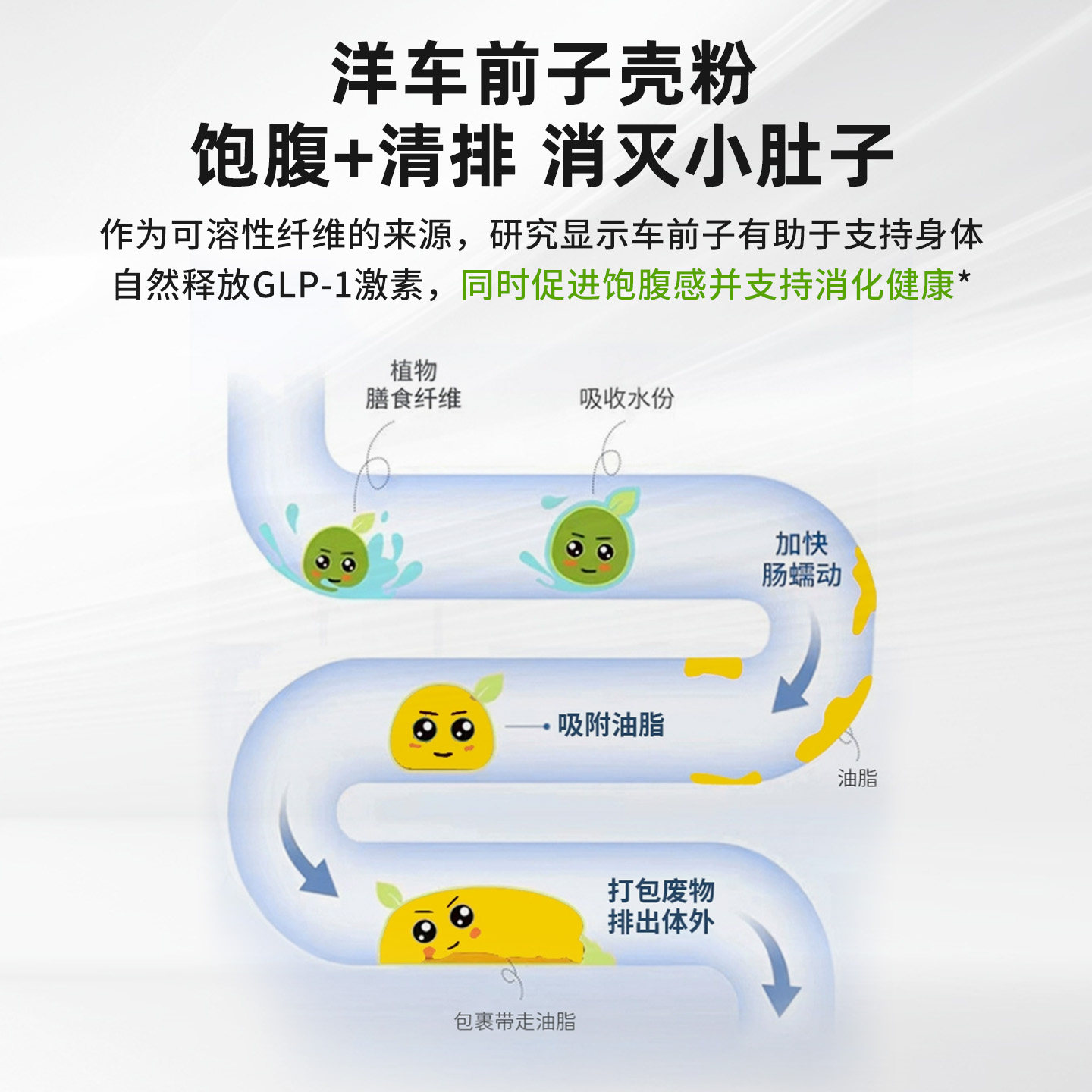 Swanson斯旺森有机车前子壳粉340g 高纤维肠道补充剂噗噗更畅快,淘宝优惠券,粉丝福利购,淘宝优惠卷