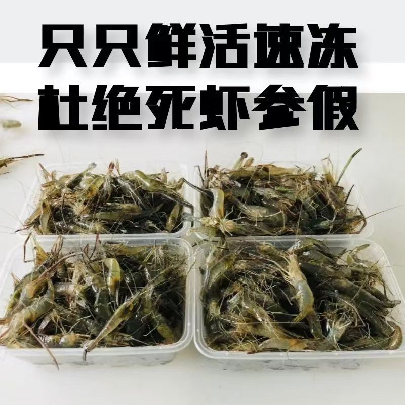 10斤装小河虾鲜活淡水活虾现冻小白虾草虾明虾青虾虾米可食用-图1