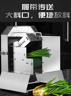 SMMCK德国切葱花器多功能切菜机豆角土豆切丝切段商用电动切葱机